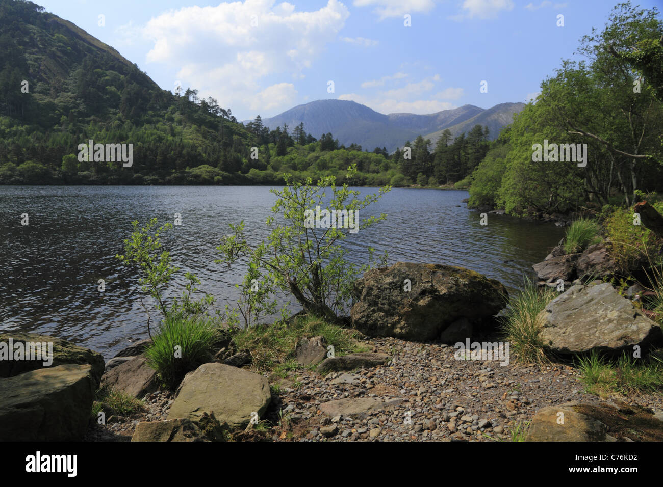 A view across Glanmore Lake to the mountains of the Beara Peninsula, Co Kerry, Rep of Ireland. Stock Photo