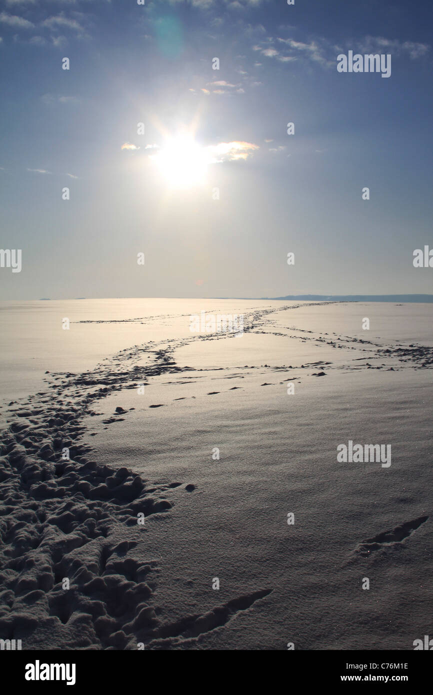 Snowscene with blue sky and footprints looking into the sun. Stock Photo