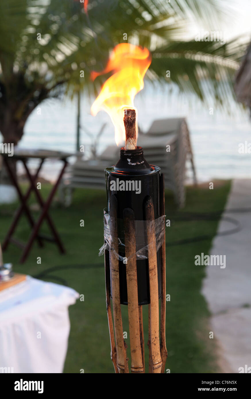 Citronella torch for pest control at a pool party Stock Photo Alamy