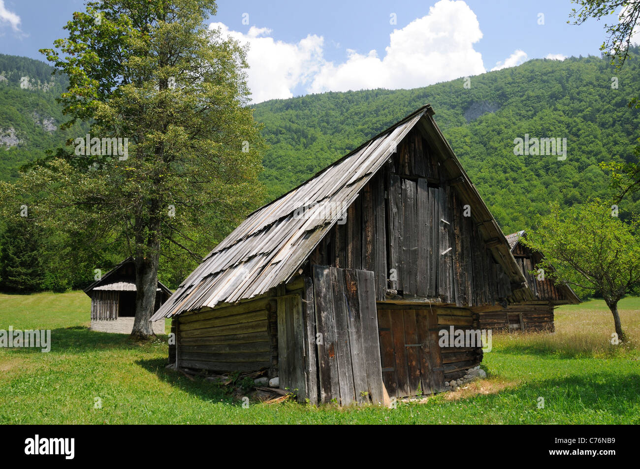 Traditional wooden herdsmen's huts in the Julian Alps, Voje valley, Triglav National Park, Slovenia, July. Stock Photo