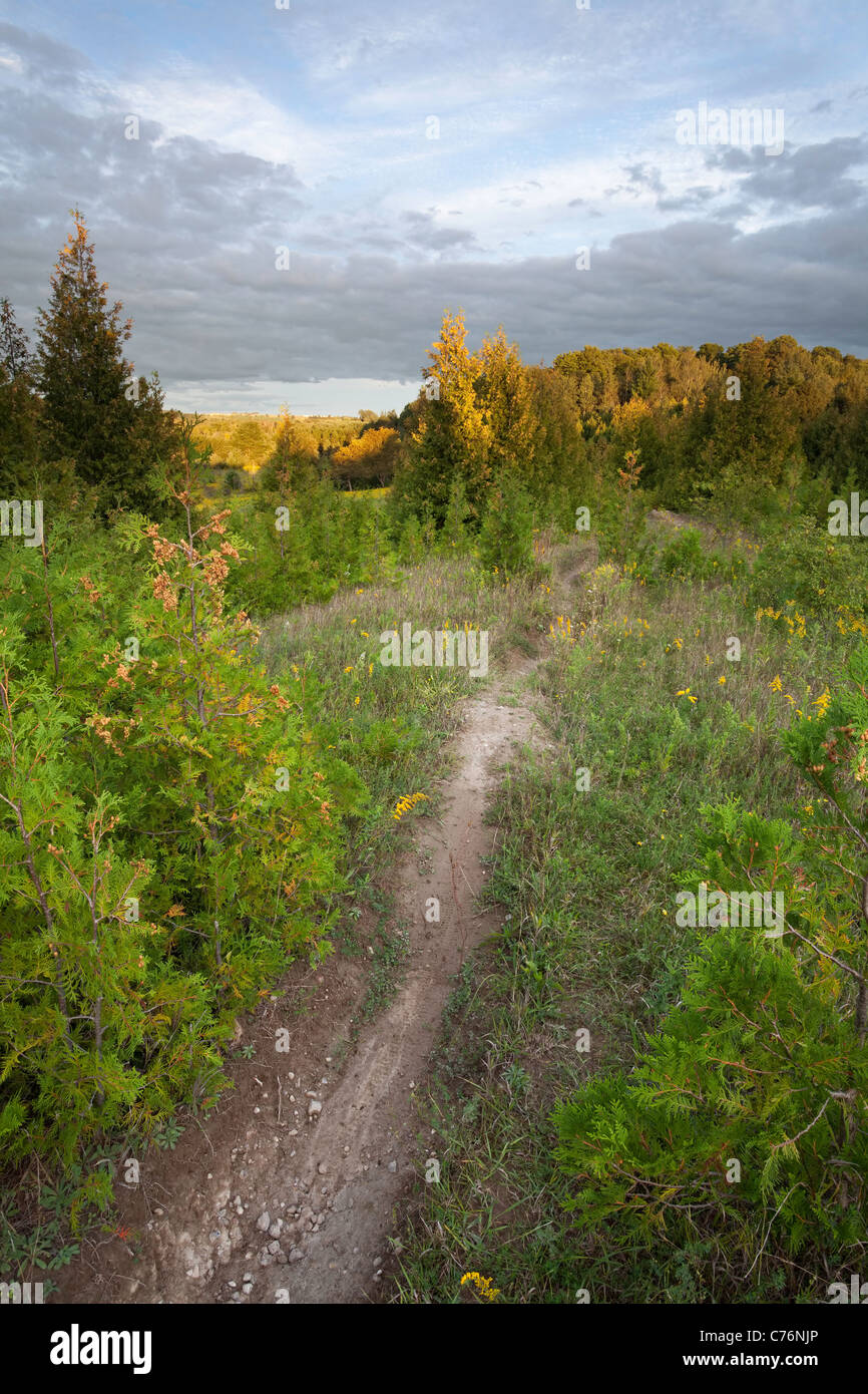 Hiking trail in an open field at sunset at Rogers Reservoir in East Gwillimbury, Ontario, Canada. Stock Photo