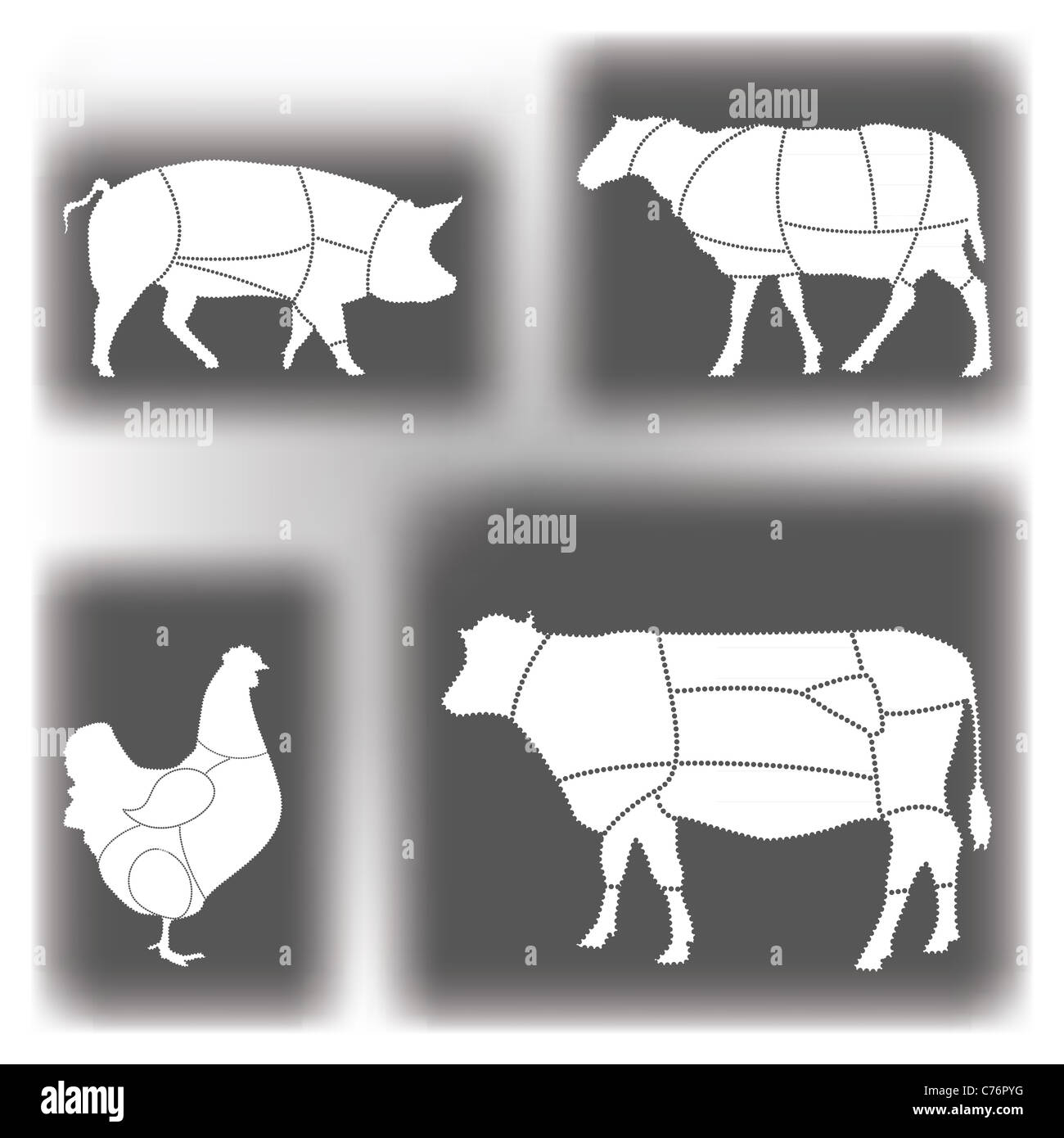 Meat diagrams Stock Photo