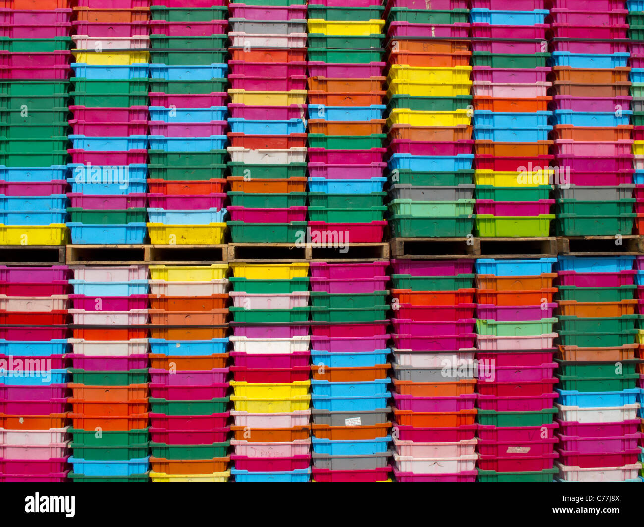 colorful blueberry picking plastic containers Stock Photo Alamy