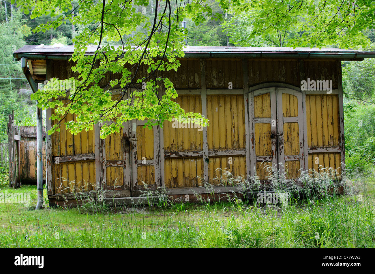 Picture of an old wooden shed in the forest Stock Photo Alamy