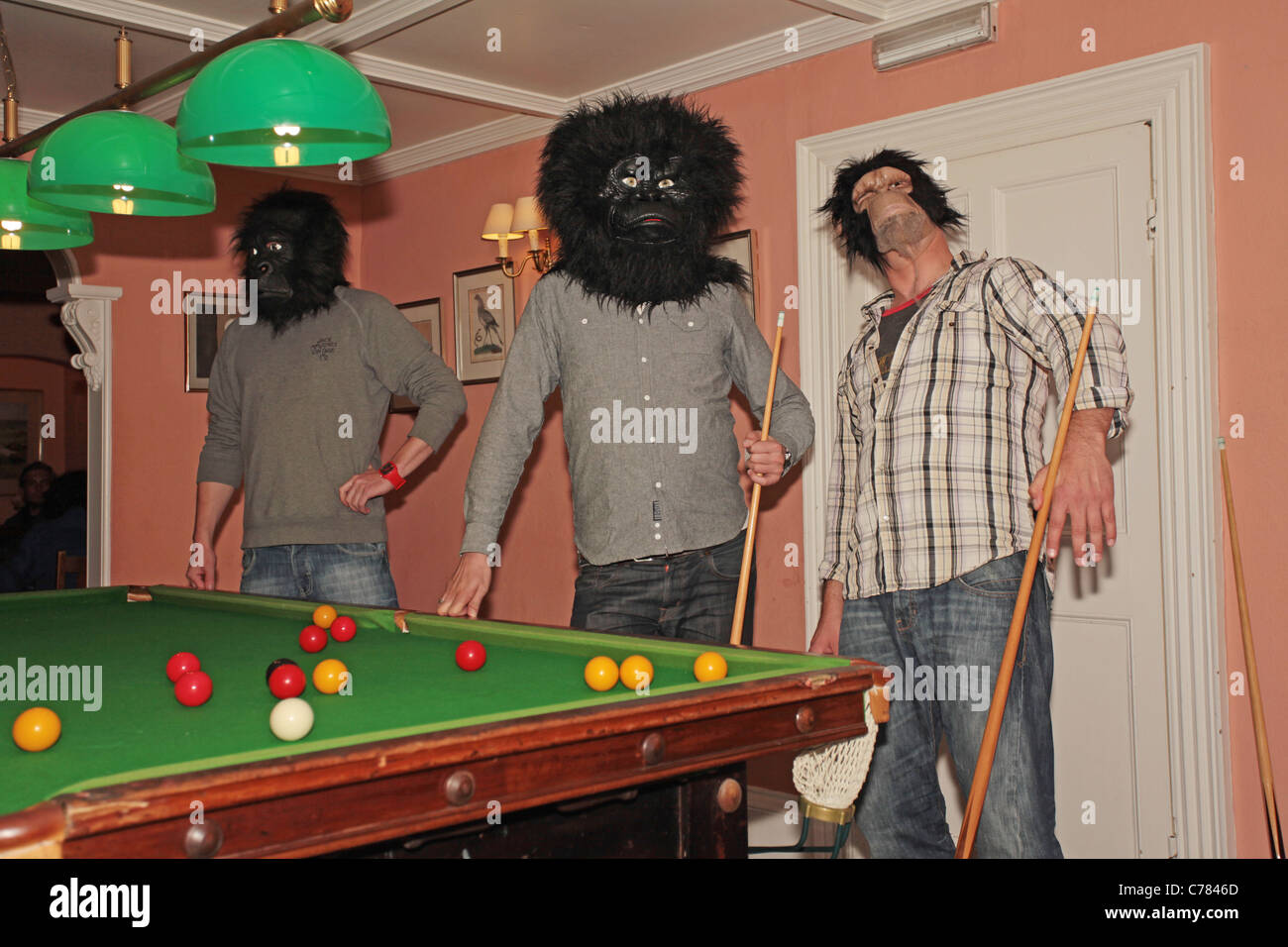 men wearing monkey masks playing pool Stock Photo