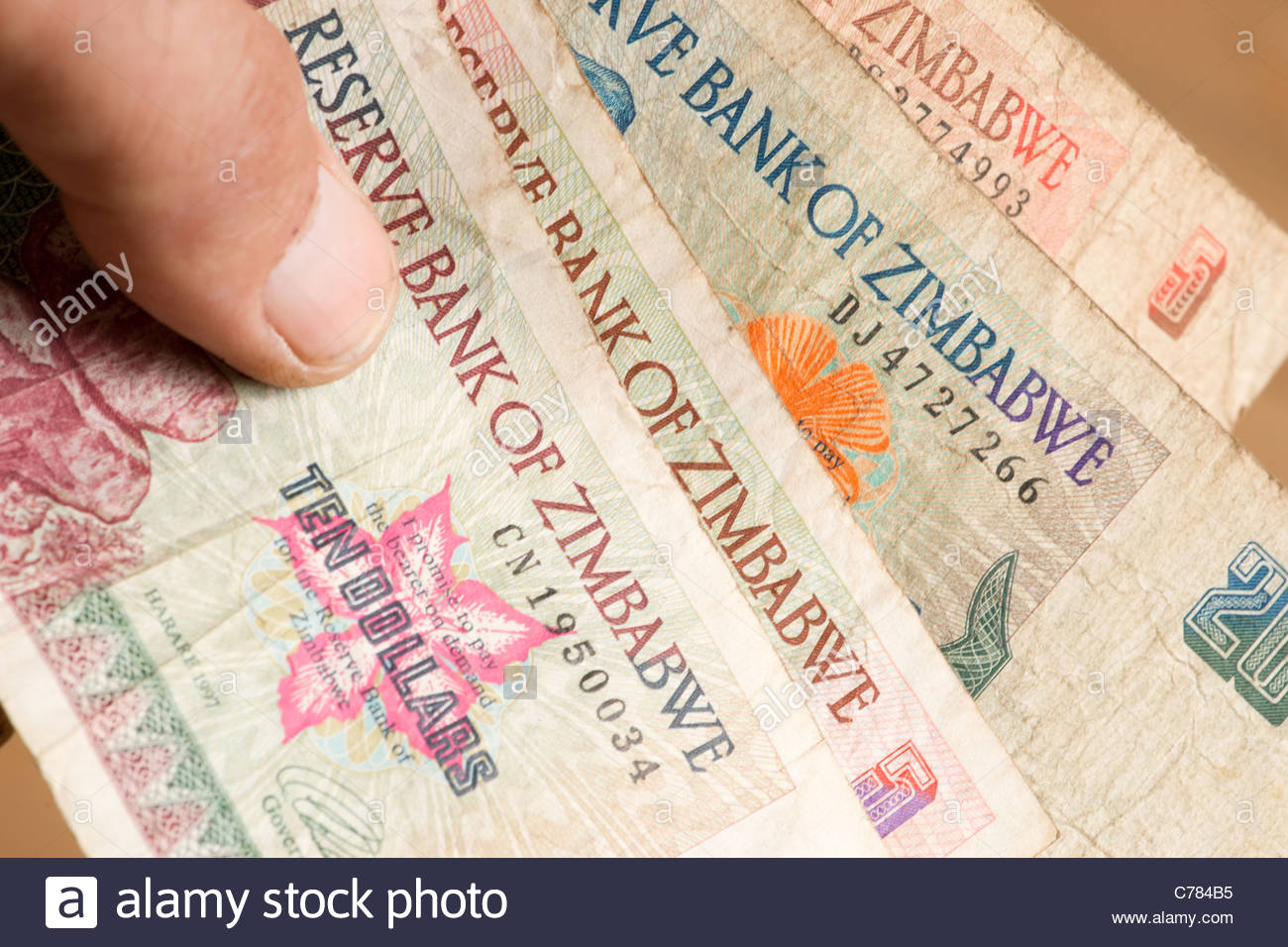 Man Holding African Money Cash Banknotes Zimbabwean Dollar - 