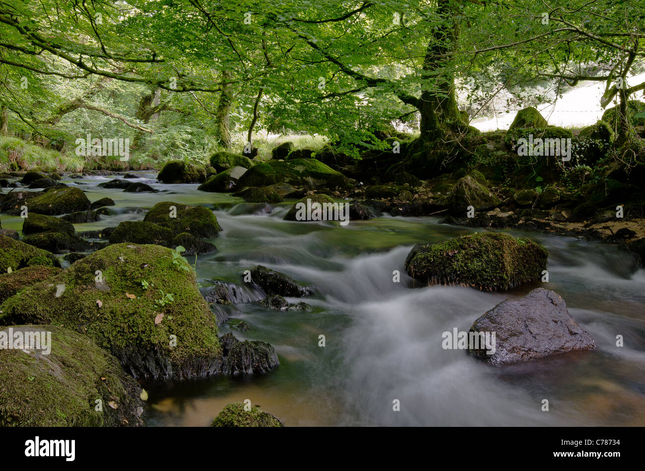 River Fowey, Cornwall Stock Photo