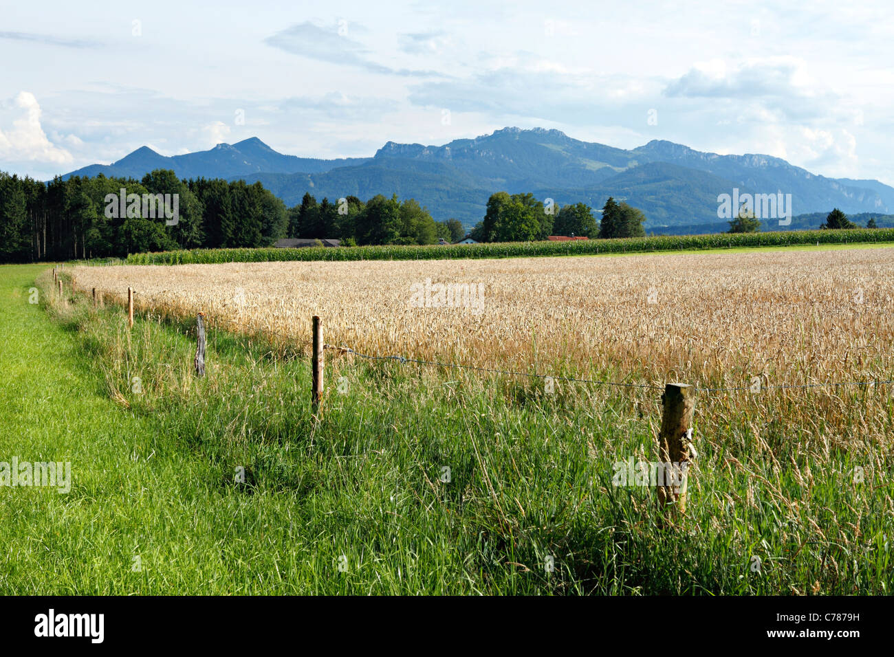 Farm landscape to the Bavarian Alps, Chiemgau Upper Bavaria Germany ...