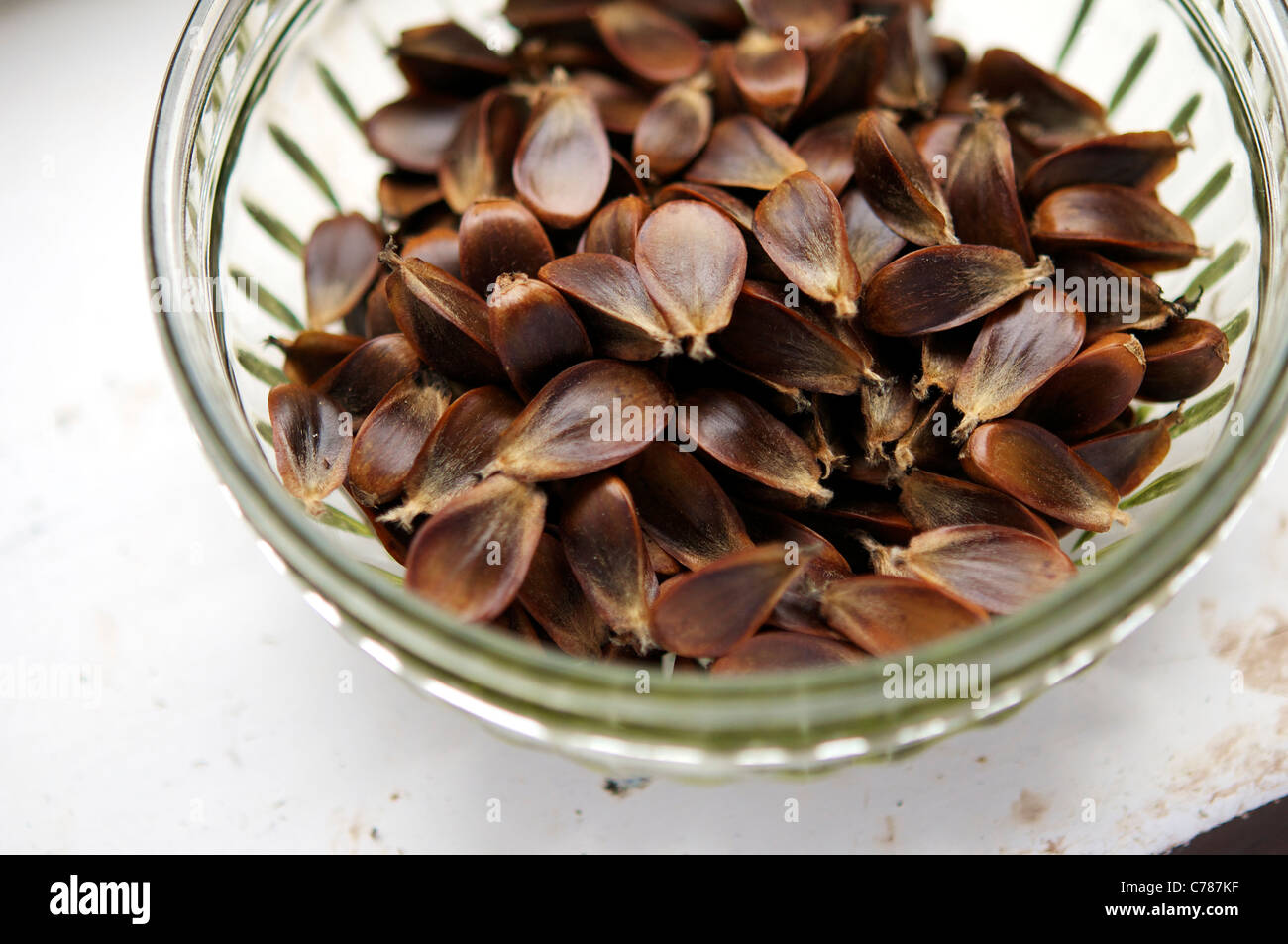 Bowl with beechnuts from a farm garden. Stock Photo