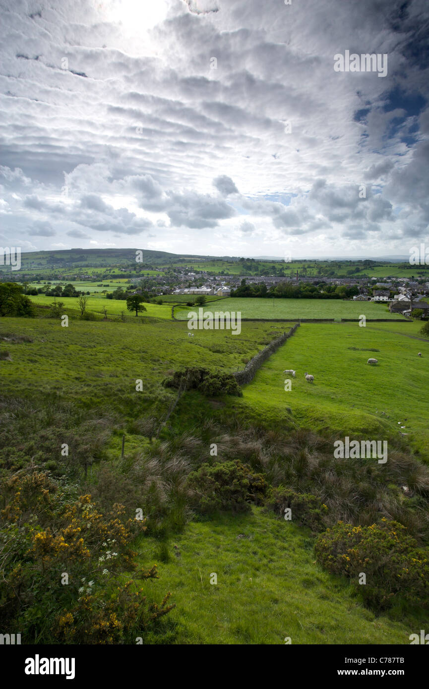 Earby, Lancashire, grazed pasture Stock Photo - Alamy
