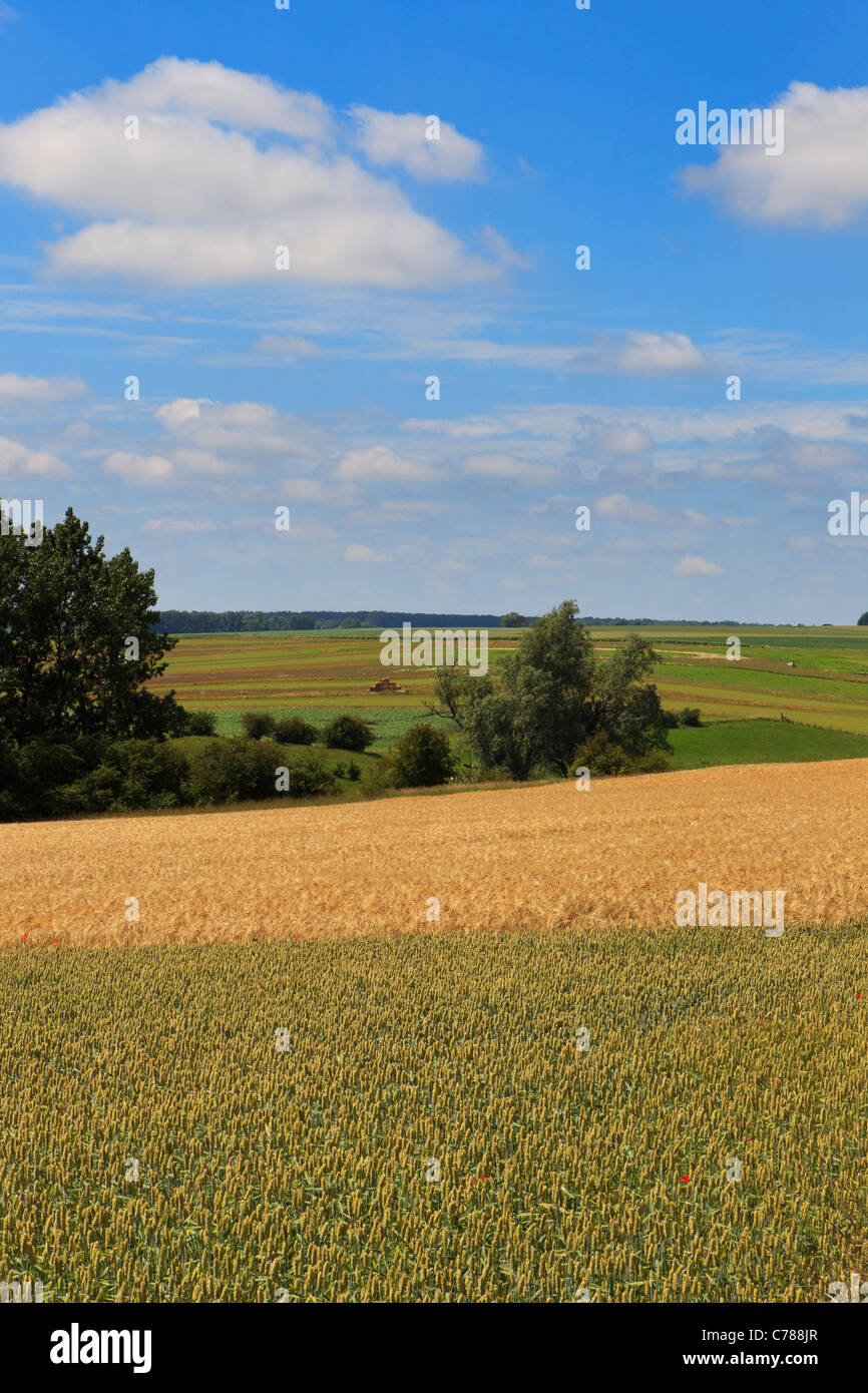 pastoral countryside Stock Photo
