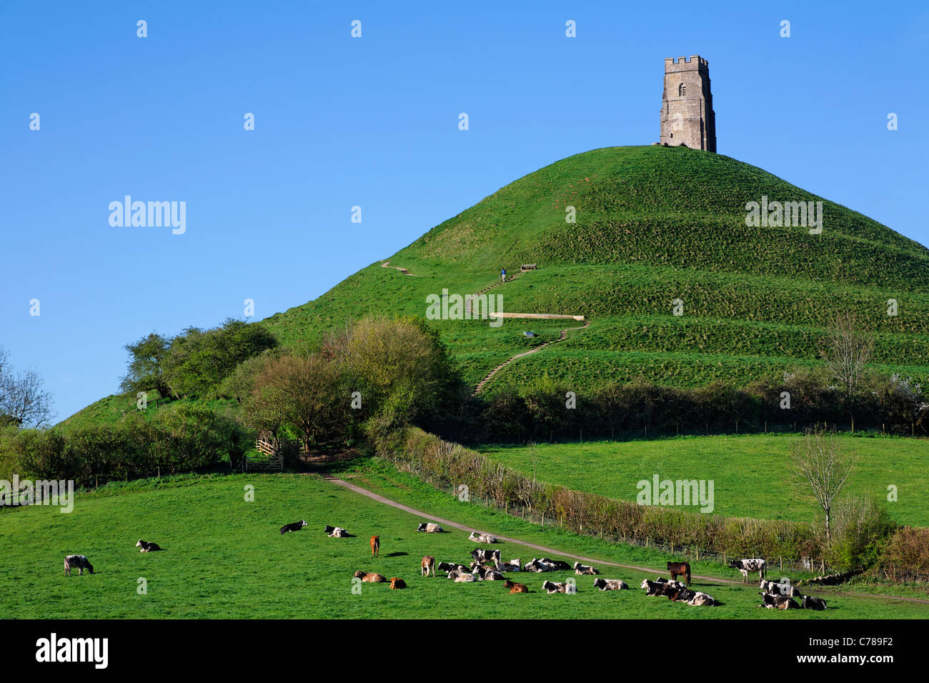 Glastonbury Tor, Glastonbury, Somerset, England Stock Photo - Alamy