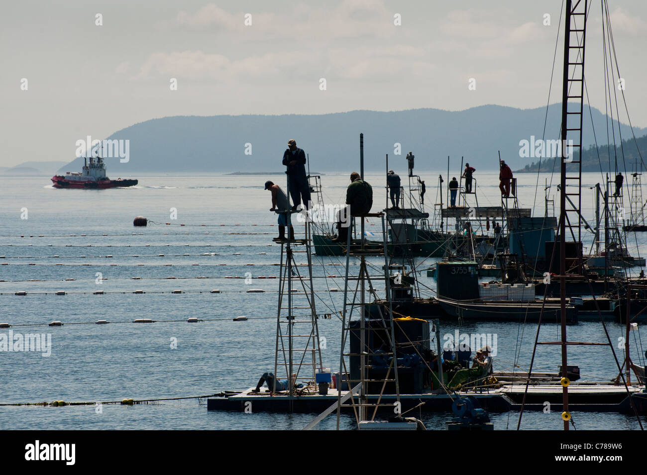 Wild Pacific Salmon commercial fishing is a historical Pacific