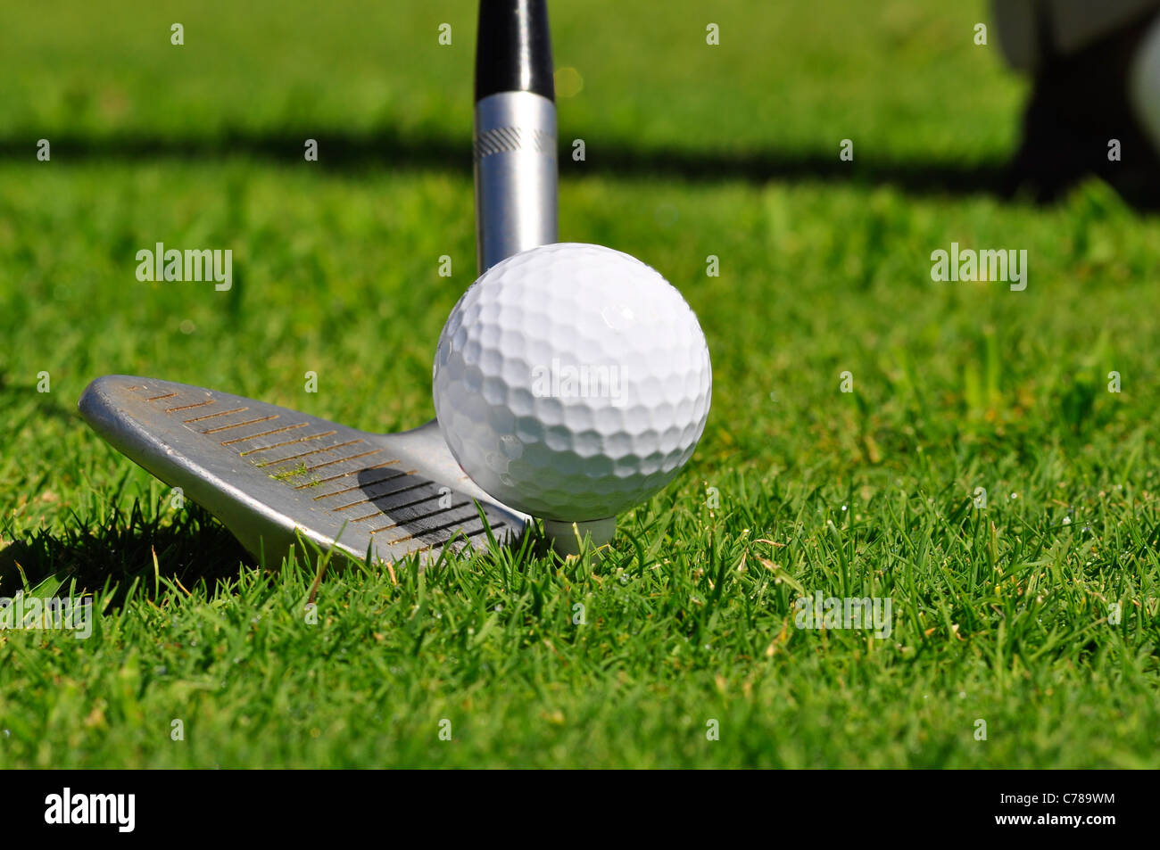 Golf ball and driver, ready to strike, on a real golf course. Stock Photo