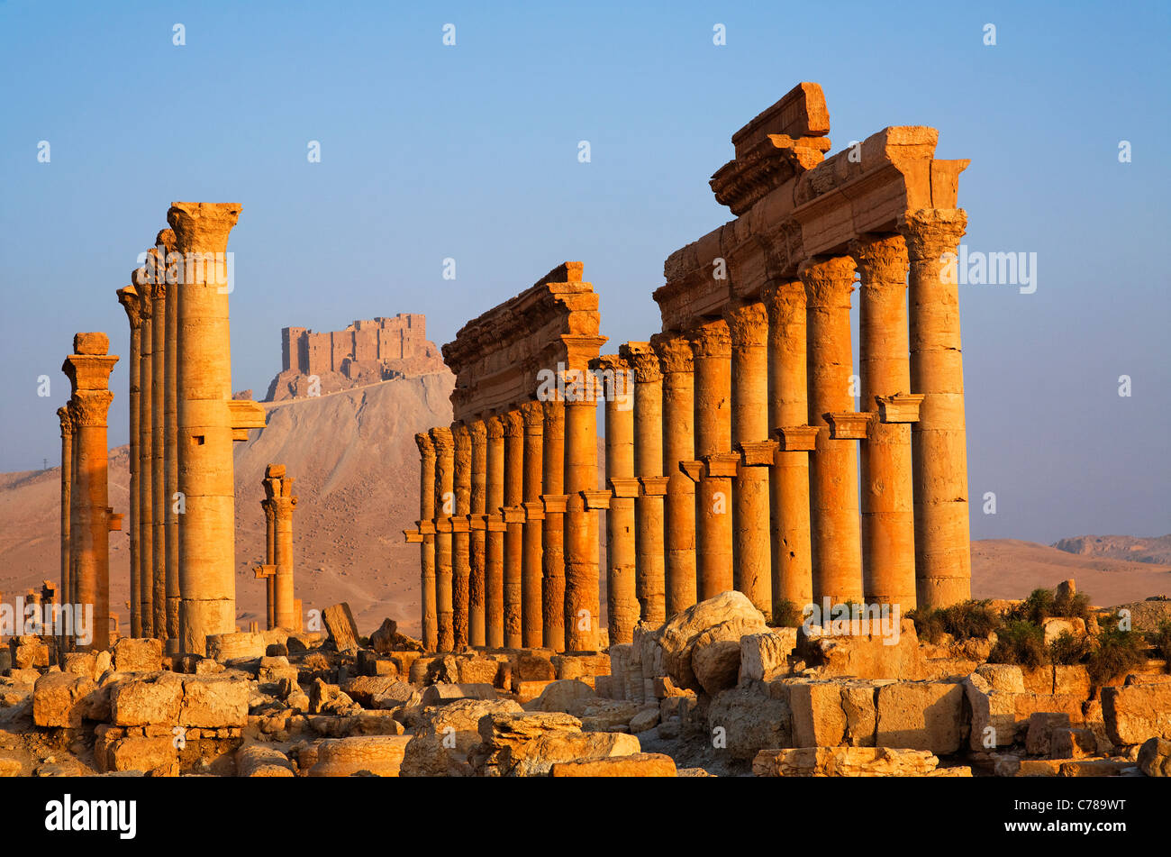 The Colonnaded Street and the Arab Castle, Palmyra, Syria Stock Photo ...