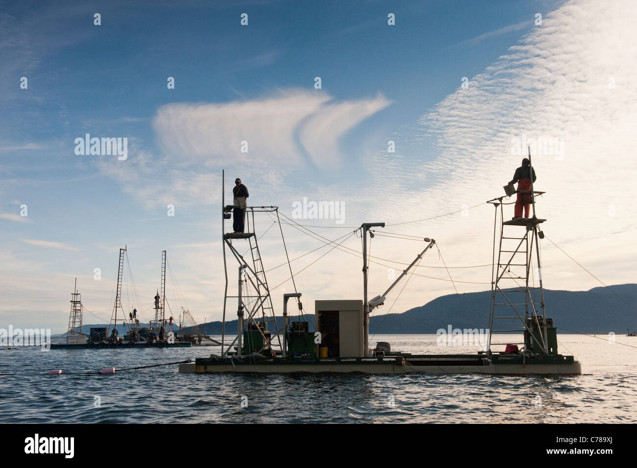 Wild Pacific Salmon commercial fishing is a historical Pacific