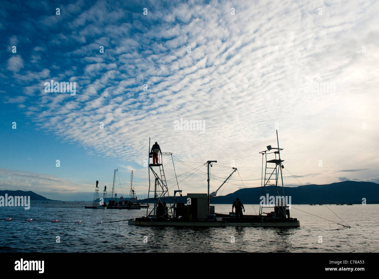 Wild Pacific Salmon commercial fishing is a historical Pacific