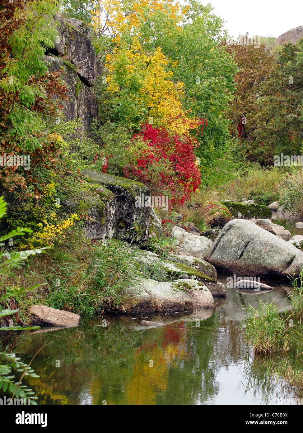 colors of autumn Stock Photo - Alamy