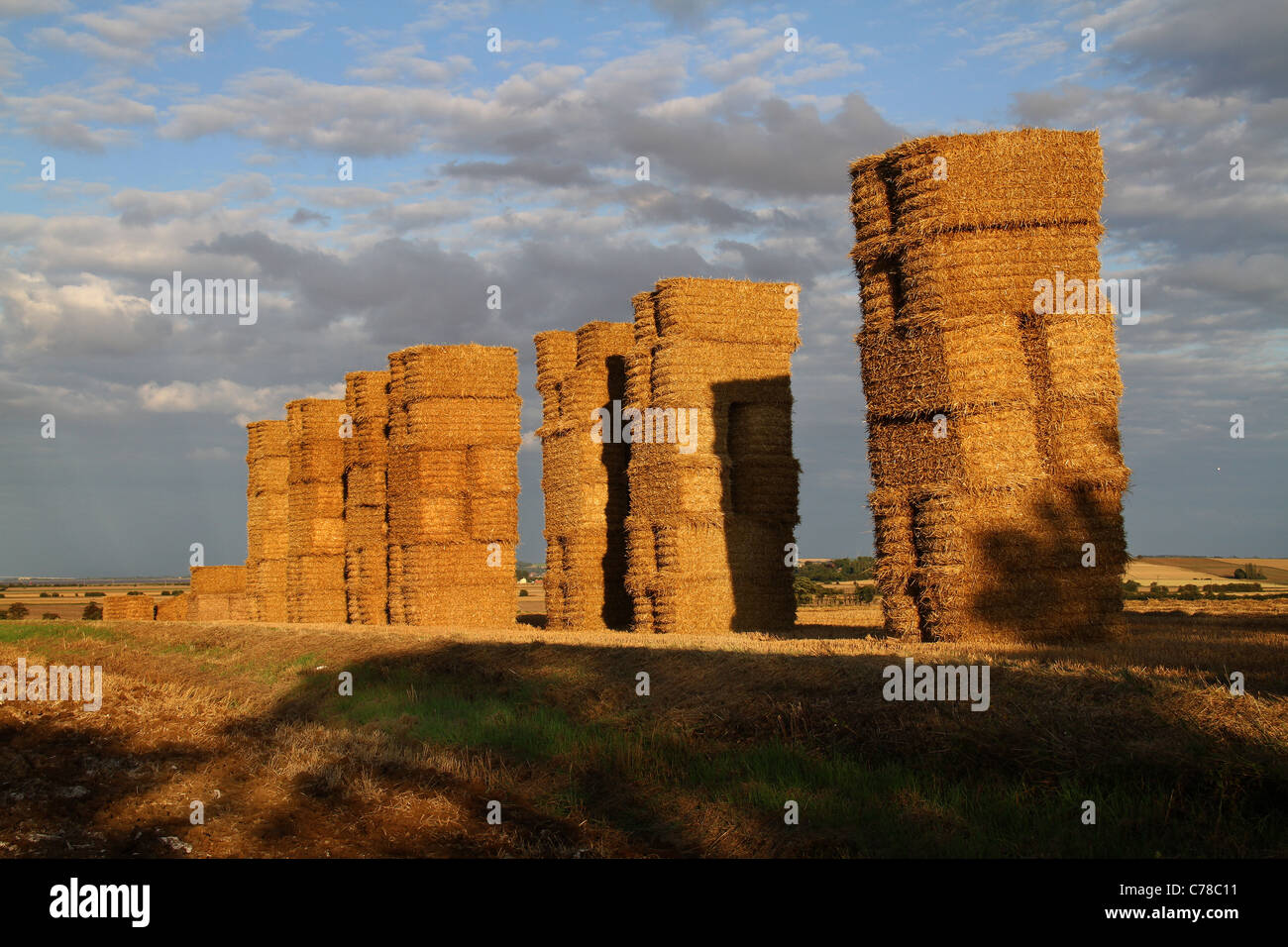 Stacked rectangular straw bales in evening sun. Stock Photo