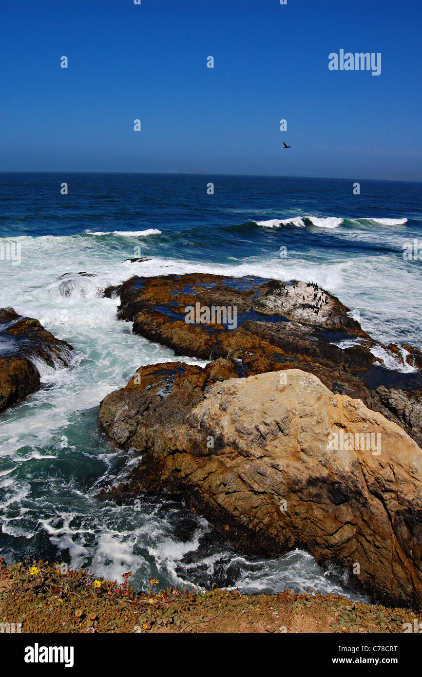 Tomales Point, Point Reyes National Seashore, California Stock Photo