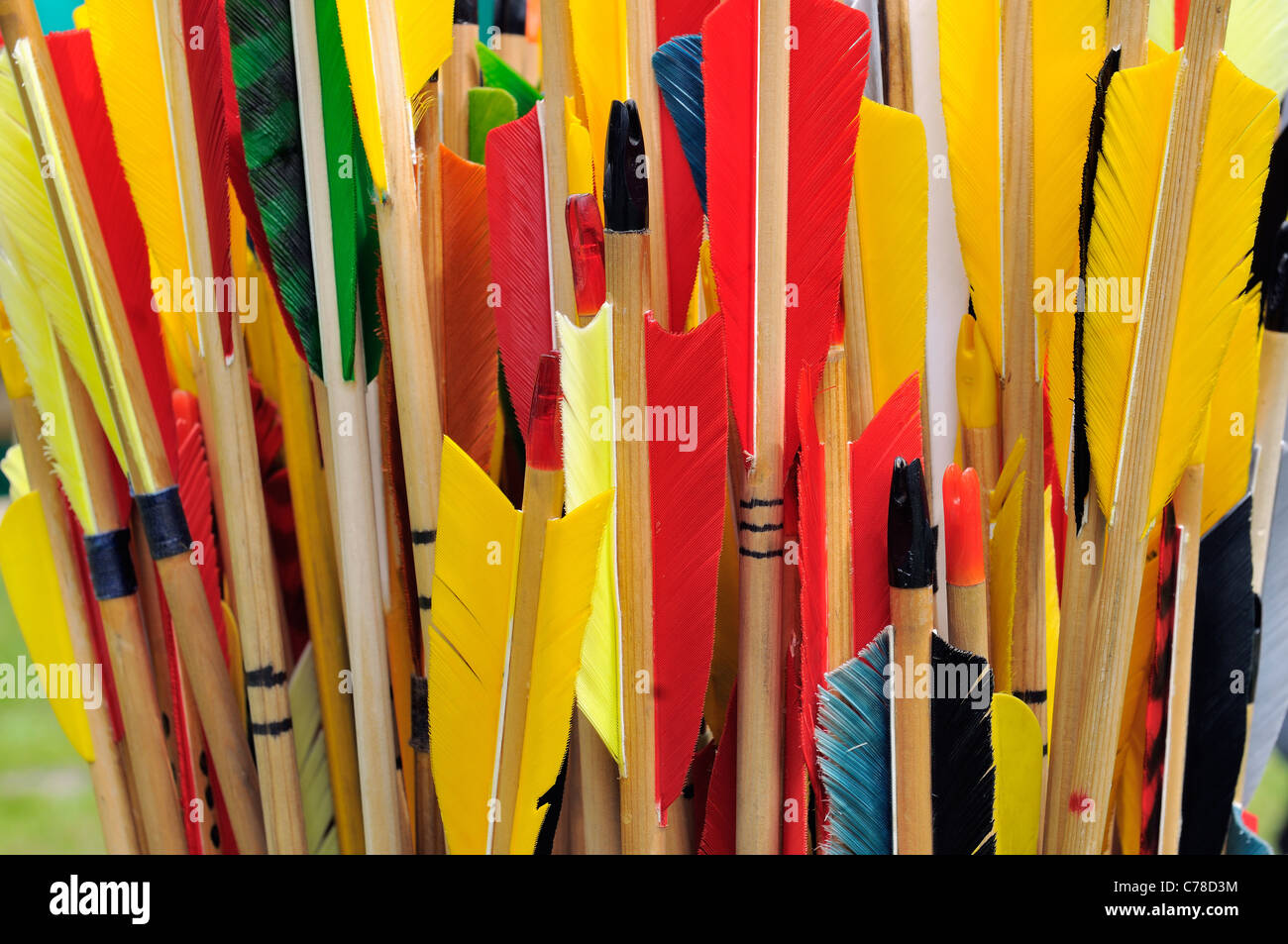 Arrow fletchings in different colors. Stock Photo