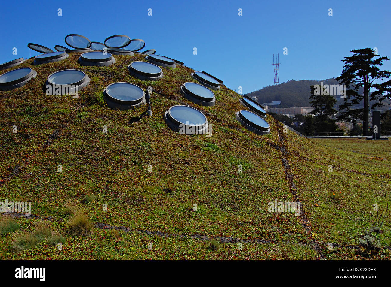 Academy of Sciences, Golden Gate Park, San Francisco, California Stock Photo Alamy