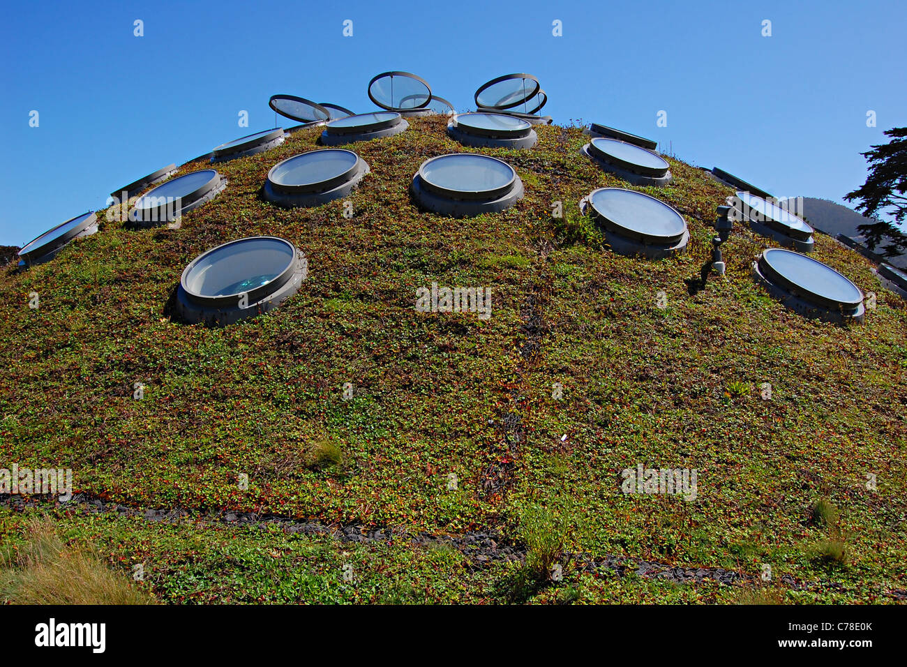 Academy of Sciences, Golden Gate Park, San Francisco, California Stock Photo Alamy