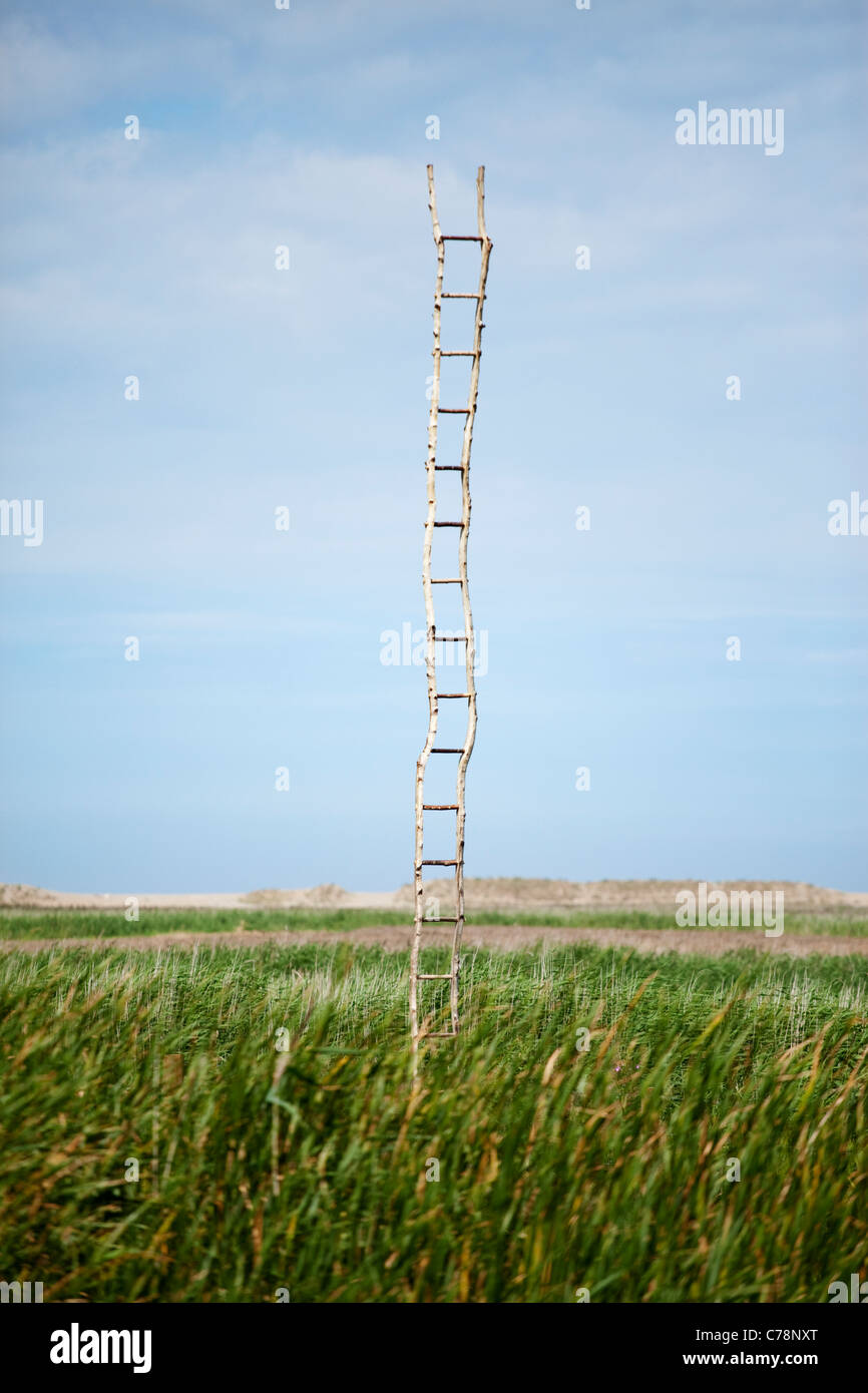 A wooden ladder in the middle of scrub land at Cley-Next-The-Sea in Norfolk, UK Stock Photo