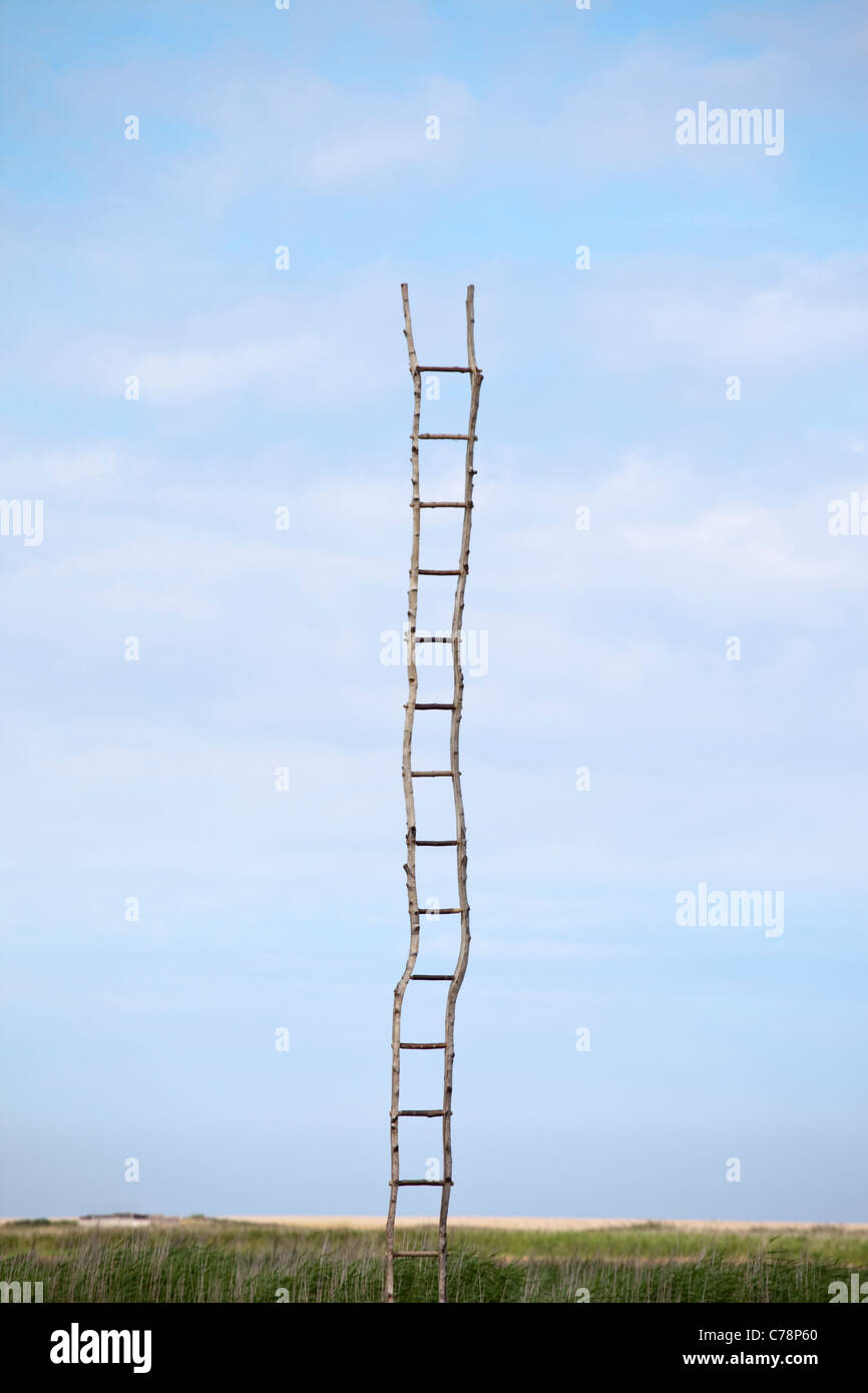 A wooden ladder in the middle of scrub land at Cley-Next-The-Sea in Norfolk, UK Stock Photo