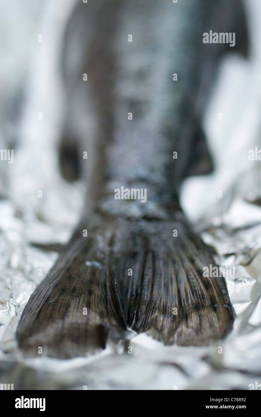 raw trout on a aluminum foil Stock Photo Alamy