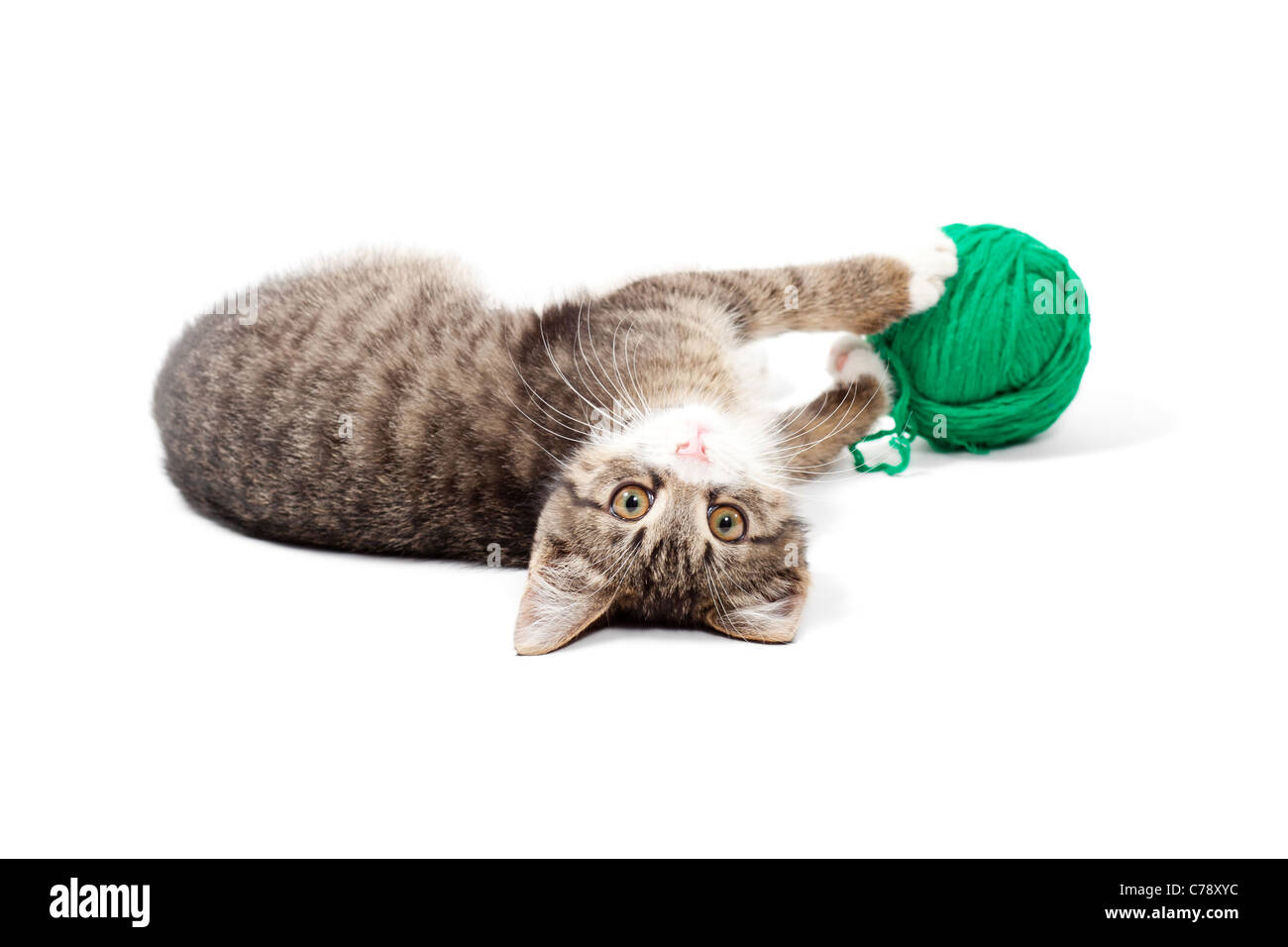 Kitten plays ball on Cut Out Stock Images Pictures Alamy Kitten plays ball on Cut Out Stock Images Pictures Alamy