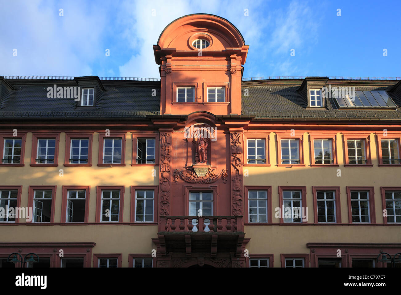 stellenanzeigen uni heidelberg