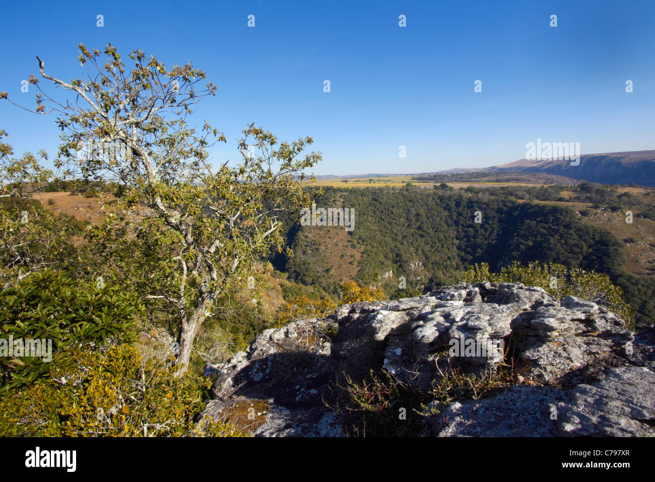 Oribi Gorge Nature Reserve, near Port Shepstone, KwaZulu-Natal, South Africa. Stock Photo