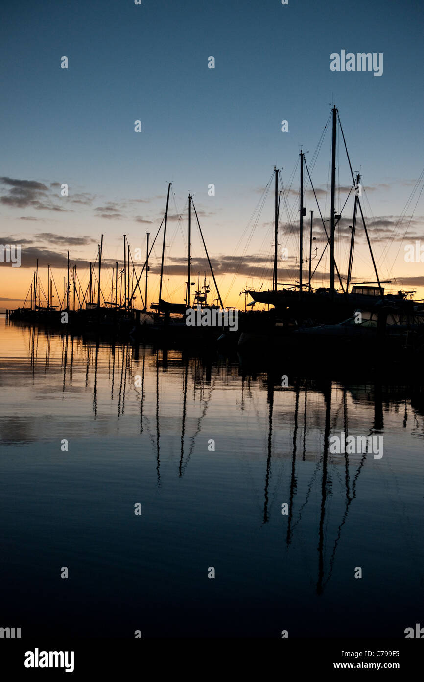 Sailing yachts at sunrise in a marina Stock Photo