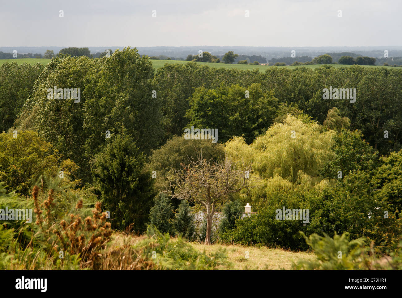 Landscape in summer, north of the Mayenne, near  Lassay les Châteaux (Mayenne, Pays de la Loire, France, Europe). Stock Photo