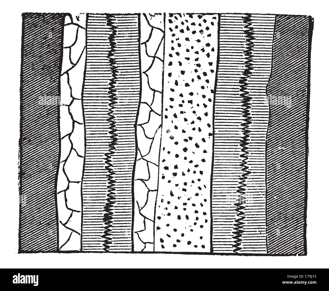 Geological Vein, illustration showing two veins splitting two separate layers of quartz into four portions. Stock Photo