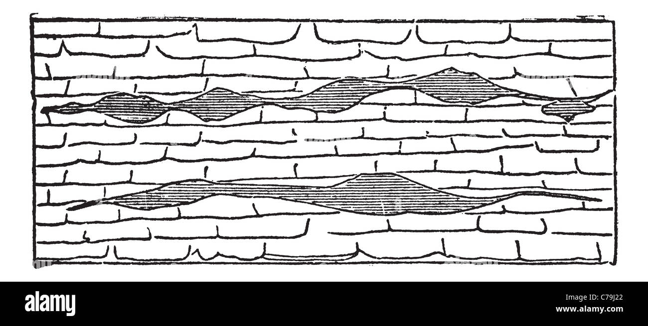 Geological Vein, illustration showing horizontal gash veins (shaded) within galena limestone (unshaded). Stock Photo