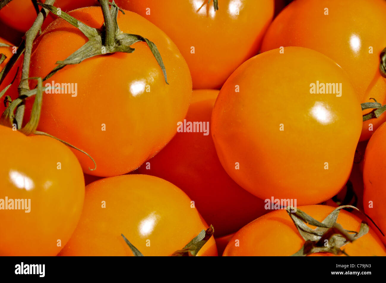 Close-Up of Orange Tomatoes Stock Photo