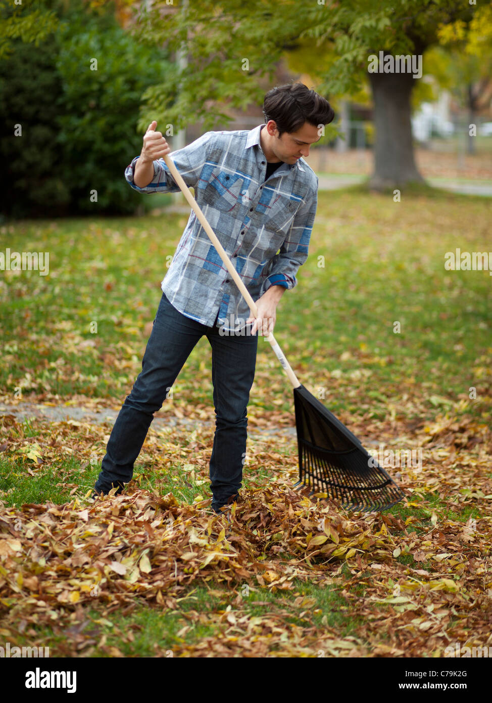 USA, Utah, Provo, Young man raking leaves in garden Stock Photo - Alamy