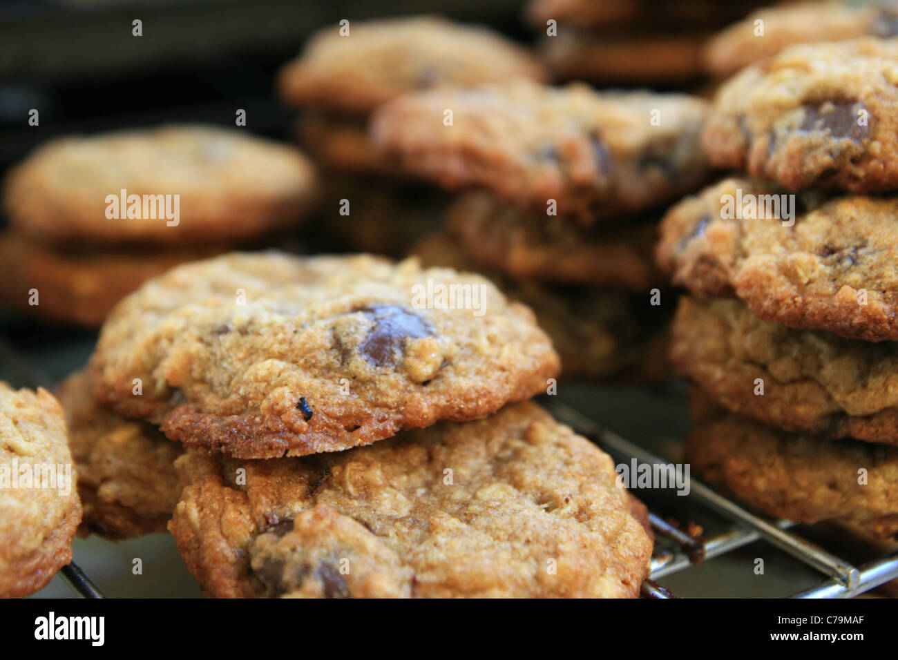 fresh baked homemade chocolate chip cookies cooling on a rack Stock Photo