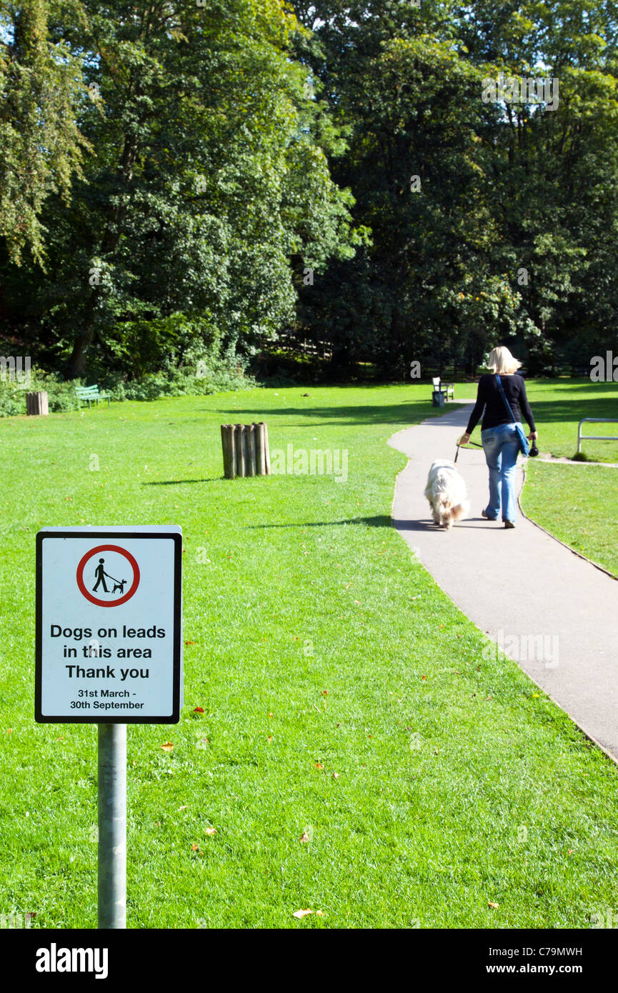 Dog Leads Dog Lead High Resolution Stock Photography and Images Alamy