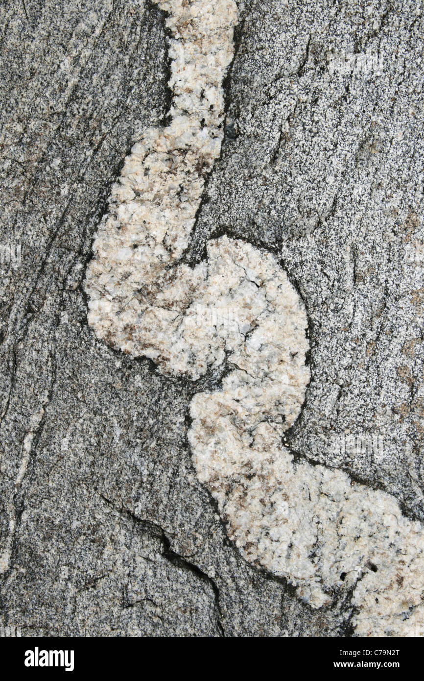 gneiss background with contorted quartz vein Stock Photo