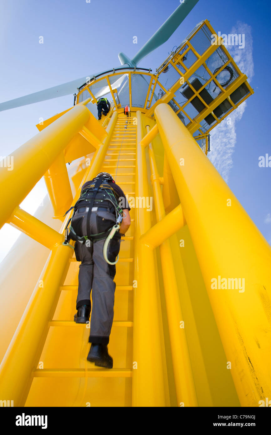 A worker climbs a turbine, at the Walney offshore wind farm which consists of 102, 3.6 MW