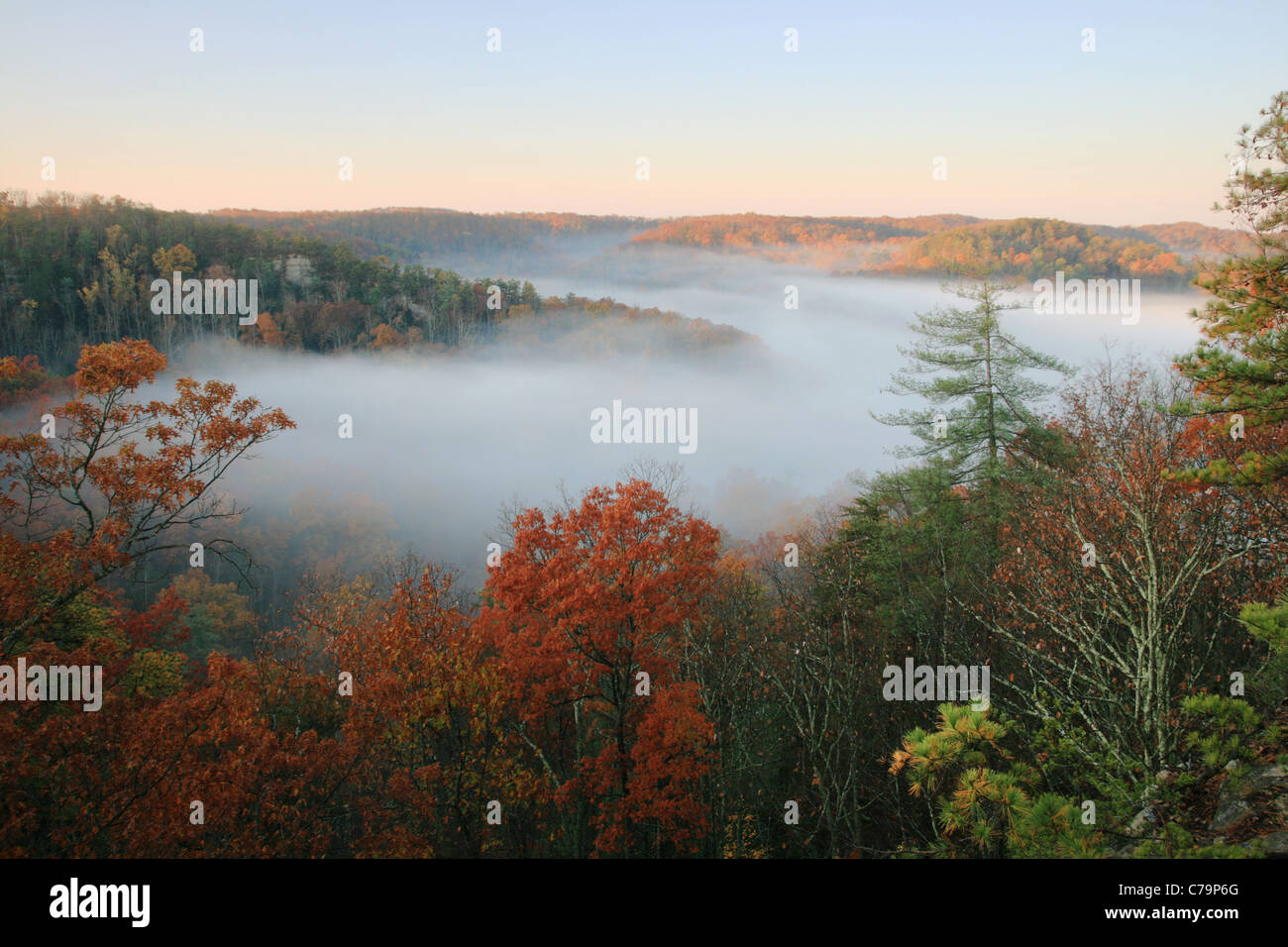 a fog filled valley in the autumn just after sunrise Stock Photo
