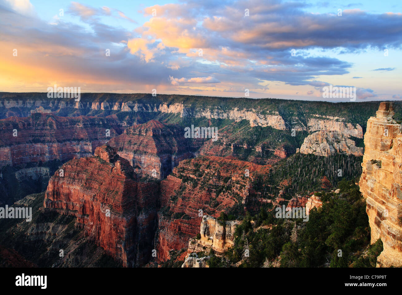 sunrise lights up the clouds on the north rim of the Grand Canyon Stock Photo