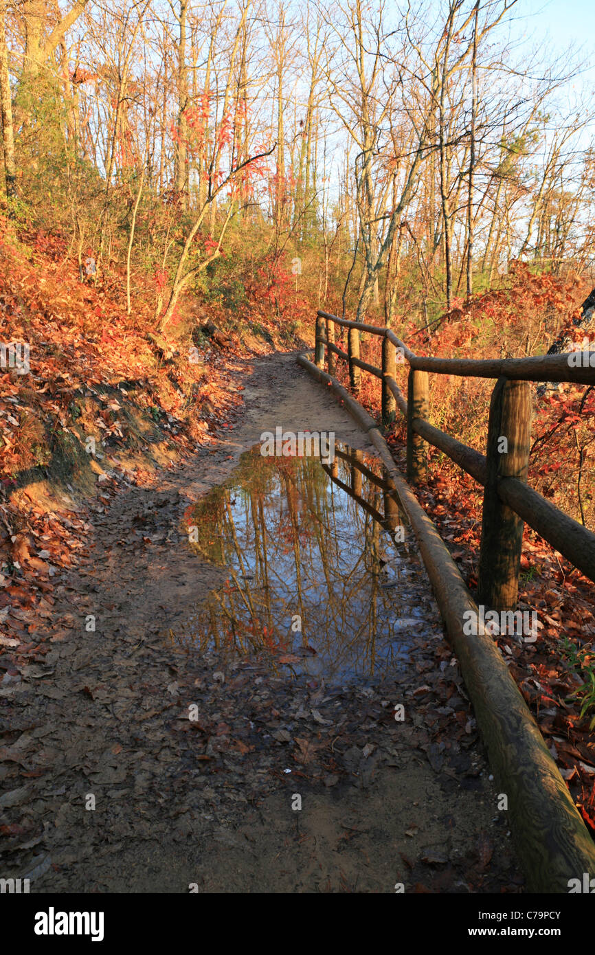 a wooden fenced trail with reflecting puddle on a fall morning Stock Photo