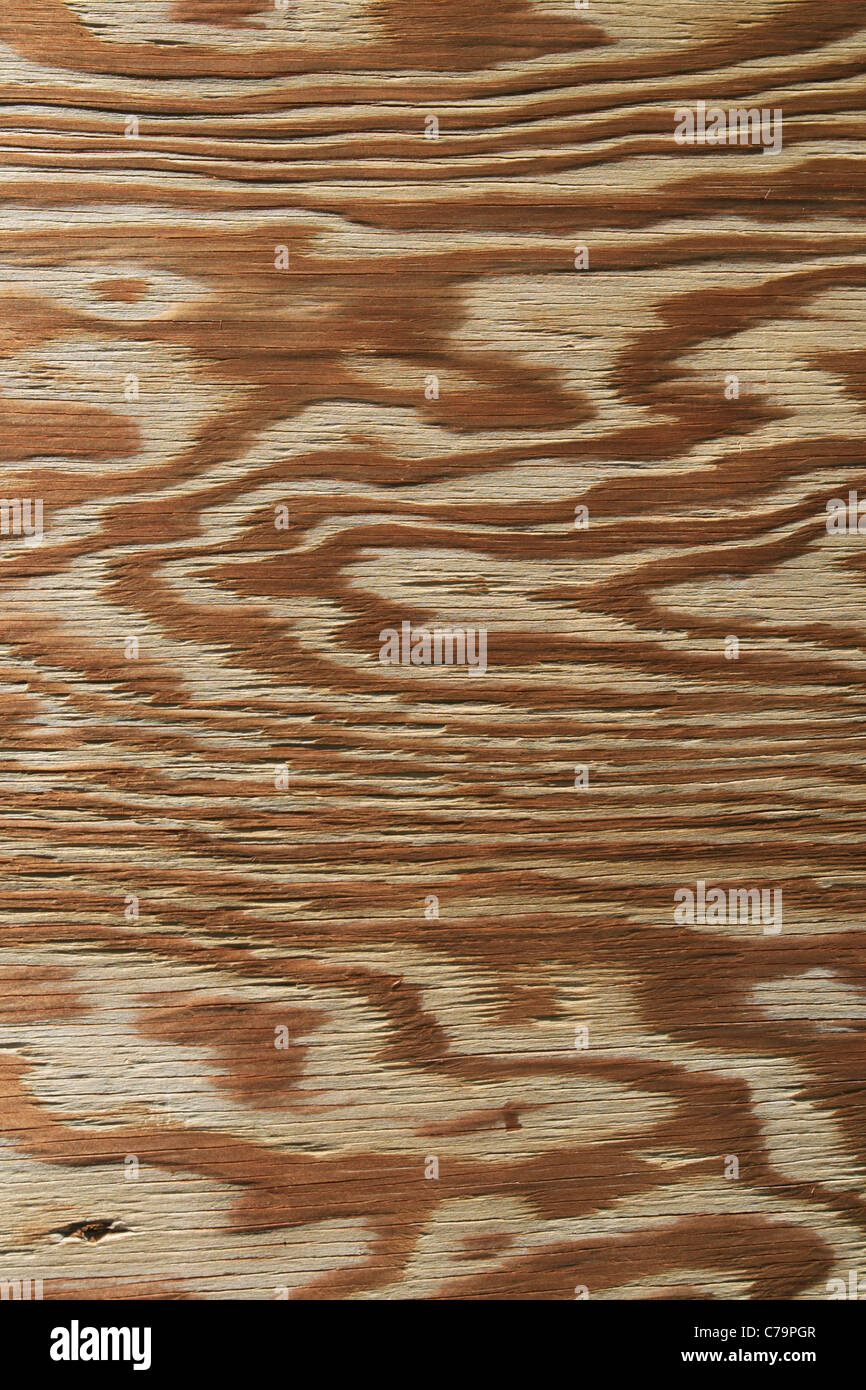 vertical image of weathered plywood for background use Stock Photo