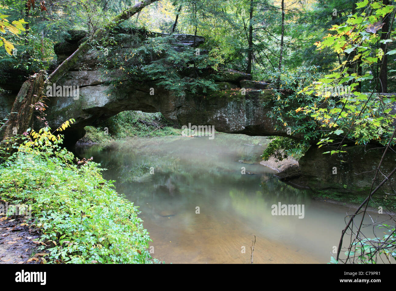 rock bridge over swift camp creek in the clifty wilderness of the red river gorge, kentucky Stock Photo