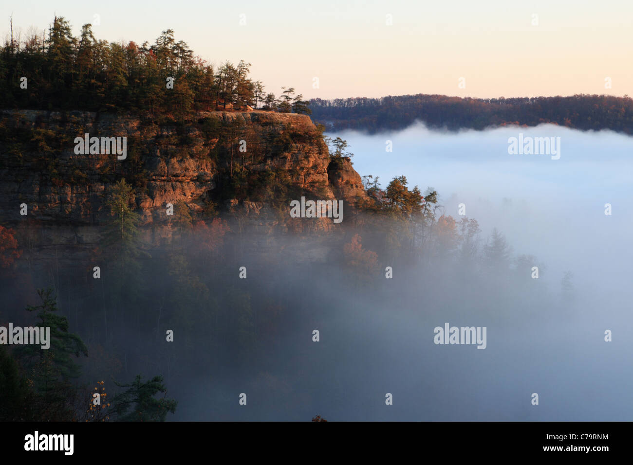 a sandstone cliff rises above early morning fog in the autumn Stock Photo