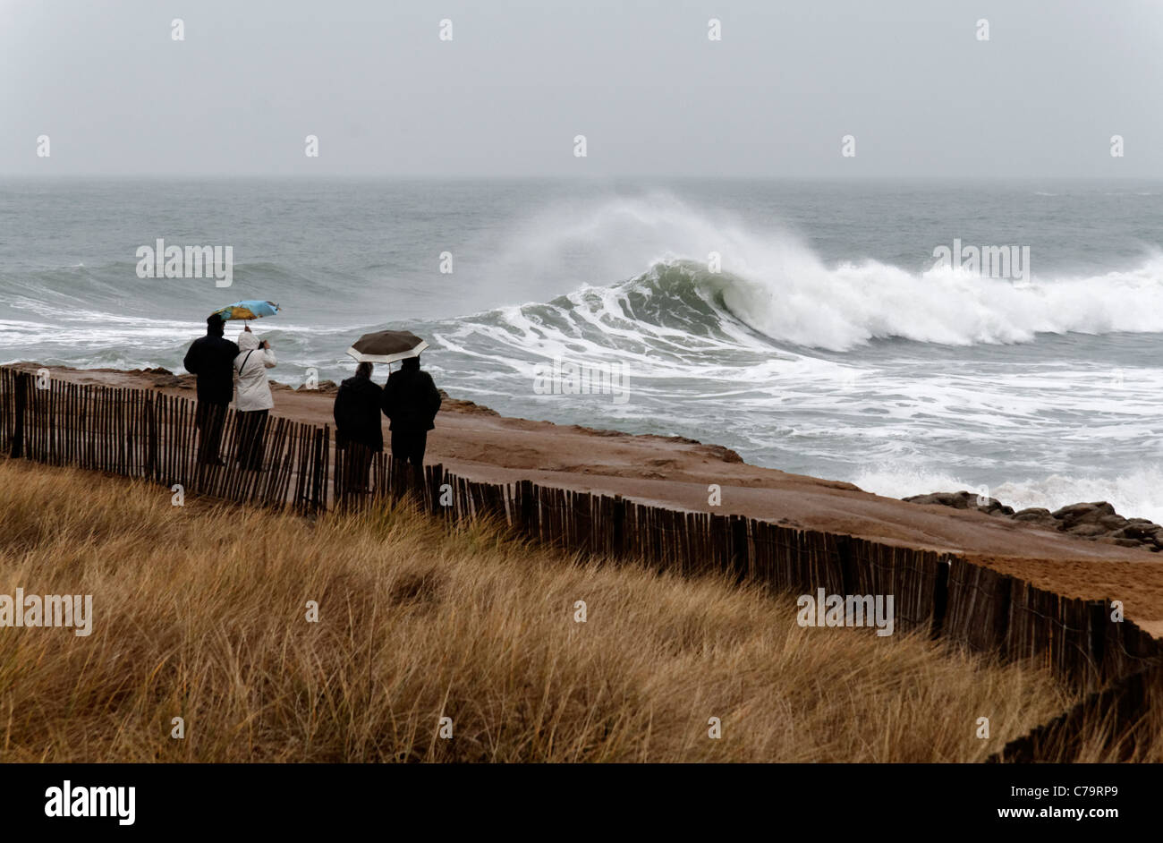 People watch the storm on the wild coast of Quiberon peninsula ...